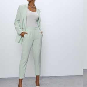 Aritzia Babaton Atelier Conan Pants, Academia,Japanese Crepe Fabric